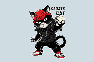 0036-karate-cat