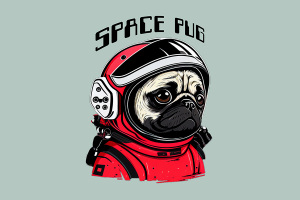0033-SPACE-PUG